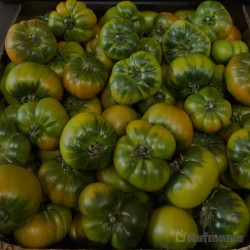 Tomate miniRaf (Pack 27 Kg)